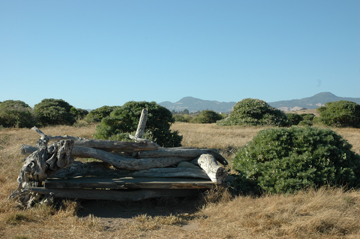 Cambria and Cayucos 071.jpg